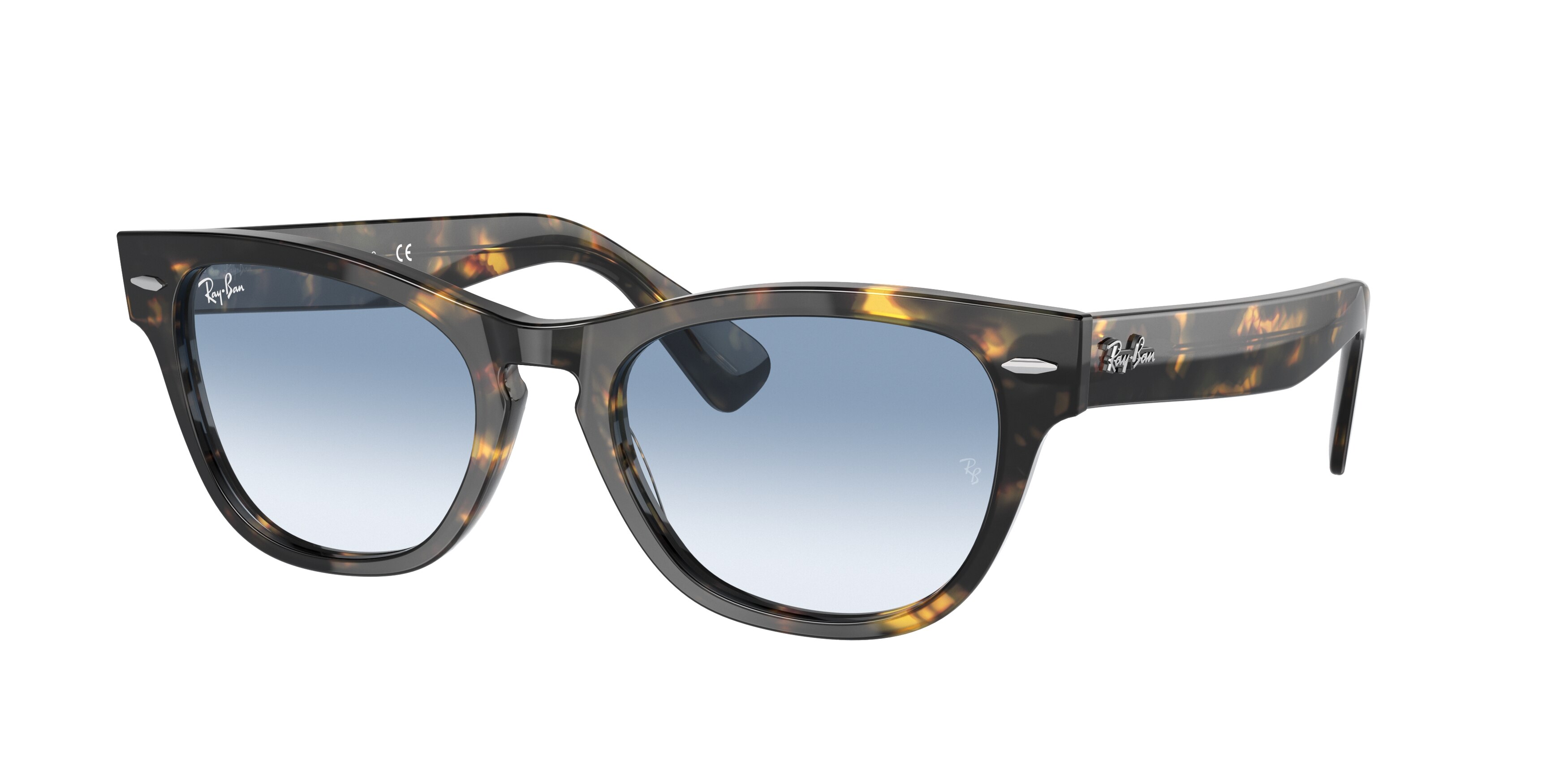 Ray Ban RB2201 13323F Laramie